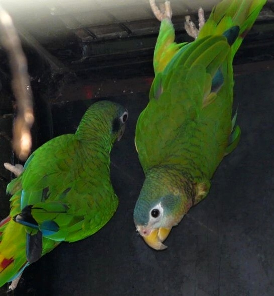 Foto 1